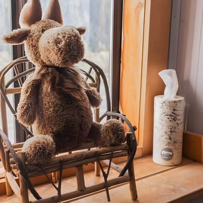 Moose Room | Rustic Colorado Lodge Escape